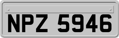 NPZ5946
