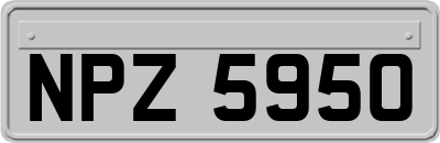 NPZ5950