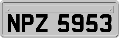 NPZ5953