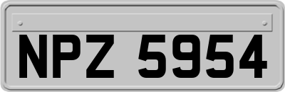 NPZ5954