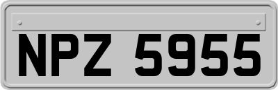 NPZ5955
