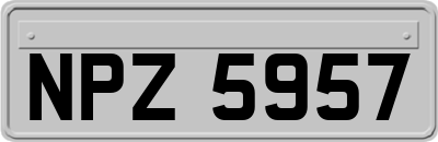 NPZ5957