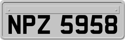 NPZ5958