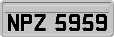 NPZ5959
