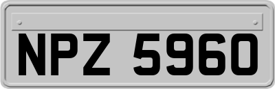 NPZ5960