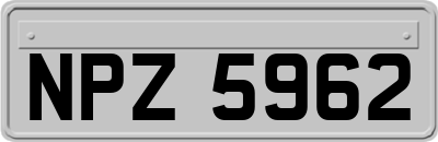 NPZ5962
