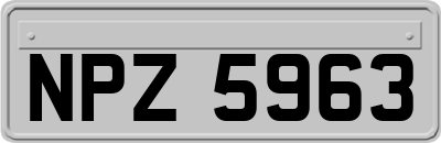 NPZ5963
