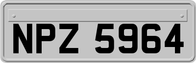 NPZ5964