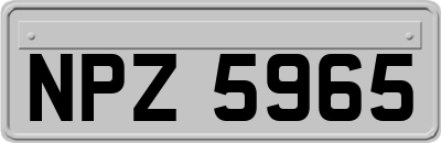 NPZ5965