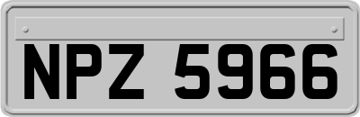 NPZ5966