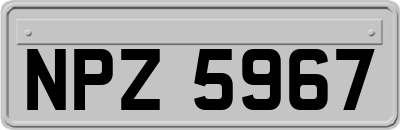 NPZ5967