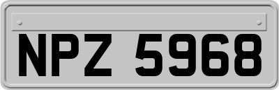 NPZ5968