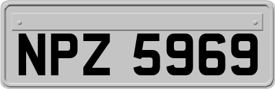 NPZ5969