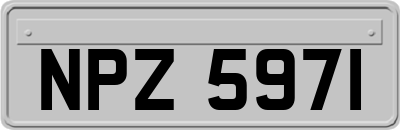 NPZ5971