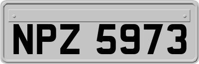 NPZ5973