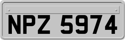 NPZ5974