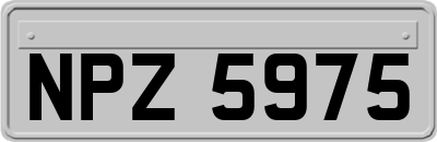 NPZ5975