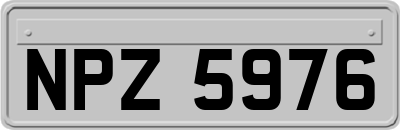 NPZ5976