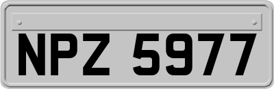 NPZ5977