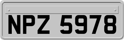 NPZ5978