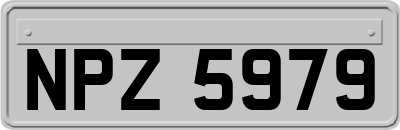 NPZ5979
