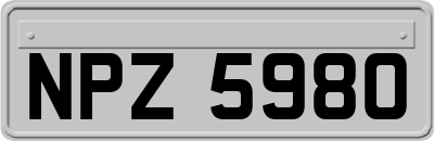 NPZ5980