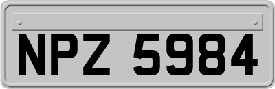 NPZ5984