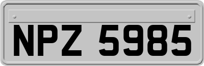 NPZ5985