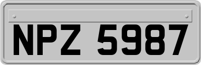 NPZ5987