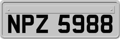 NPZ5988