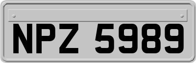 NPZ5989