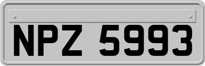 NPZ5993