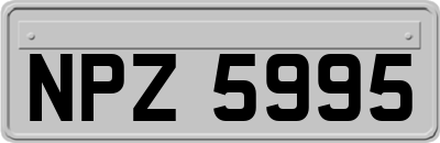 NPZ5995