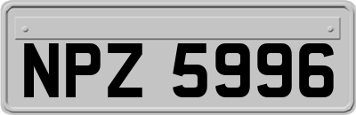 NPZ5996