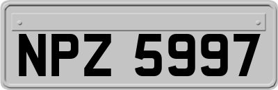 NPZ5997