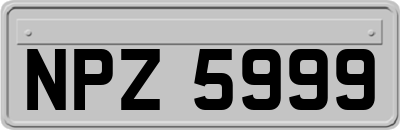 NPZ5999