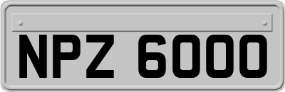 NPZ6000