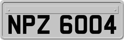 NPZ6004