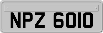 NPZ6010