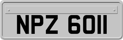 NPZ6011
