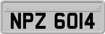 NPZ6014