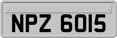 NPZ6015