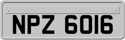 NPZ6016