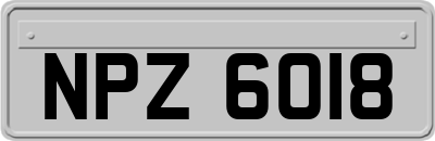 NPZ6018
