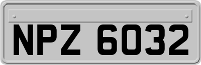 NPZ6032