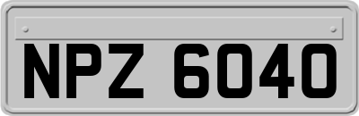 NPZ6040