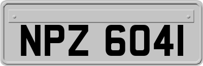 NPZ6041