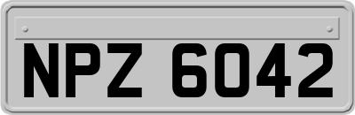 NPZ6042