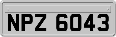 NPZ6043