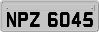 NPZ6045